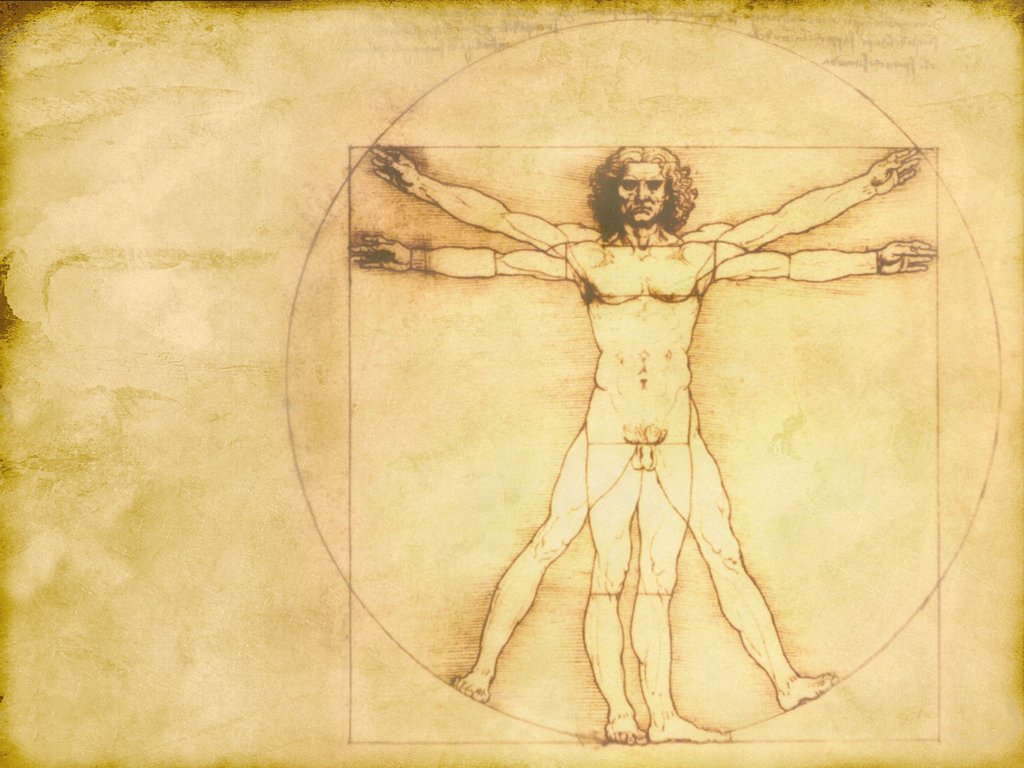 Da Vinci Anatomia Background By Idemsoul