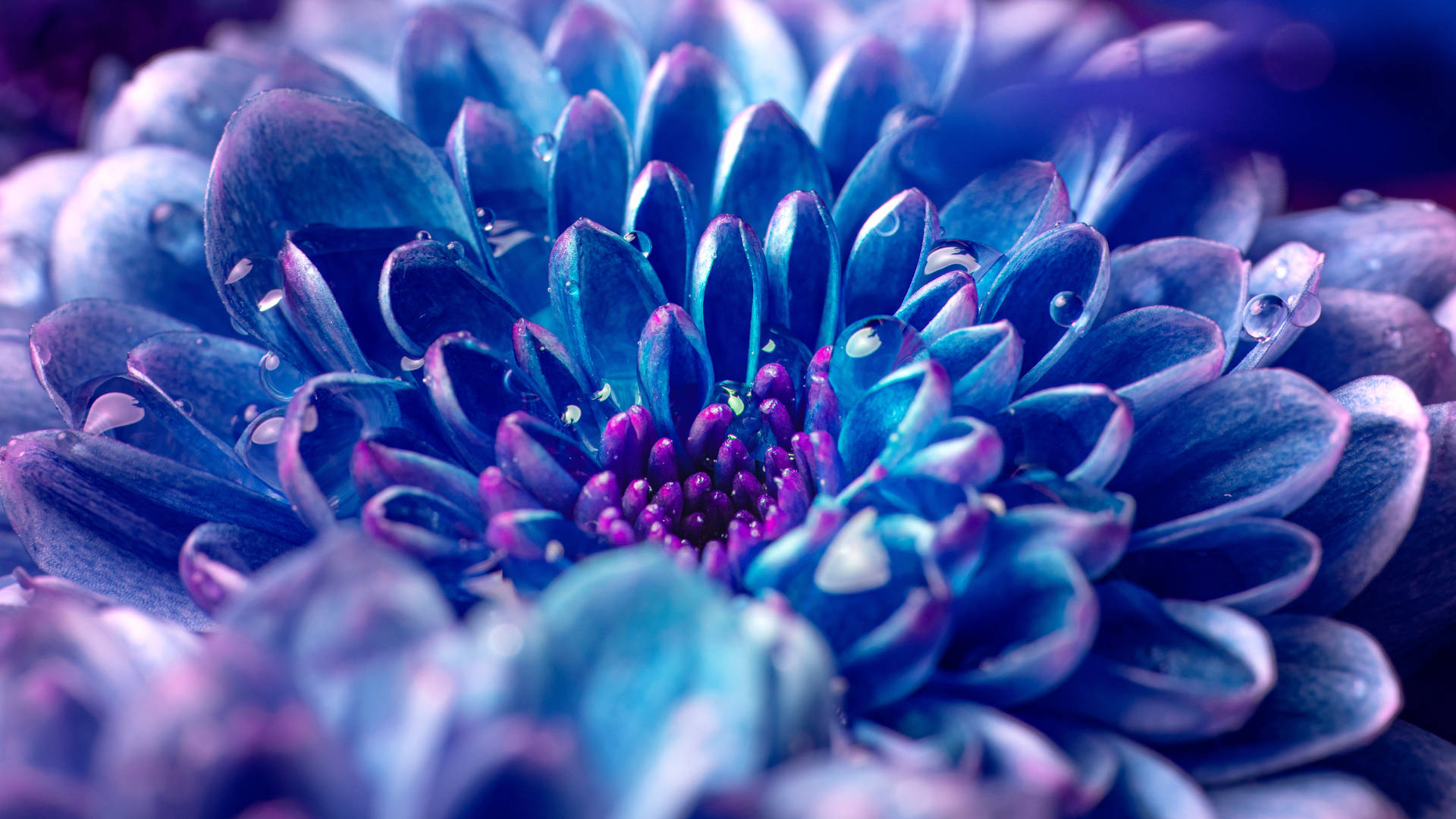 4d Ultra HD Wallpaper