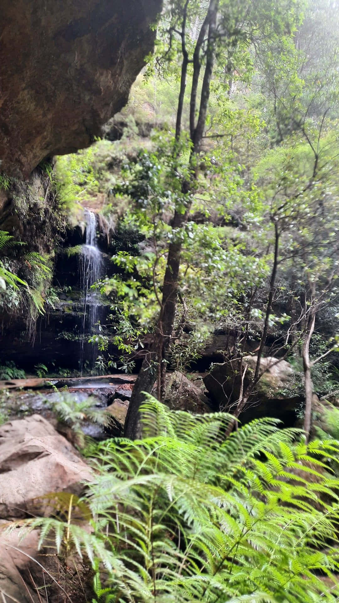 Blue Mountains National Park Wallpaper