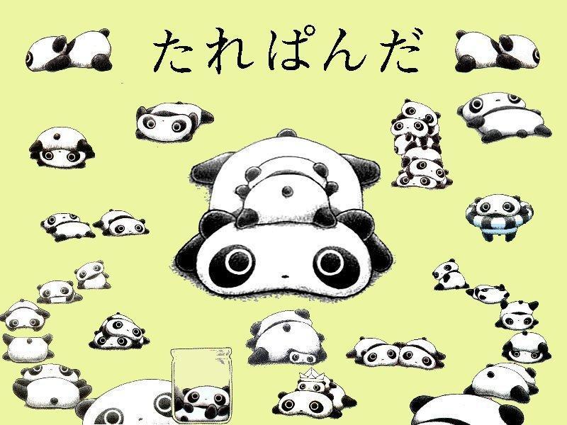 Image About Tarepanda Pandas Kawaii