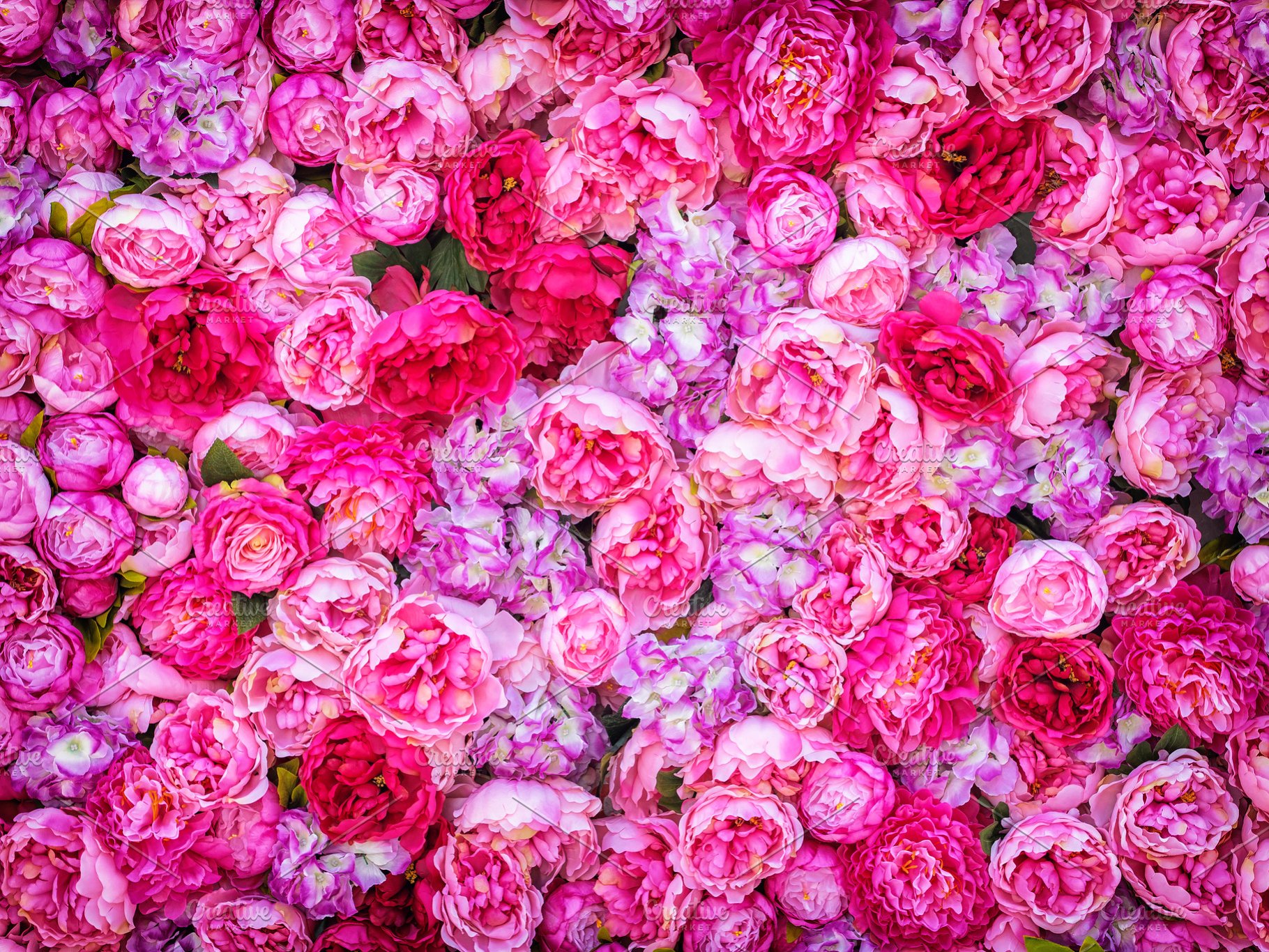 Beautiful Background Of Artificial Pink Peonies Wedding Festive