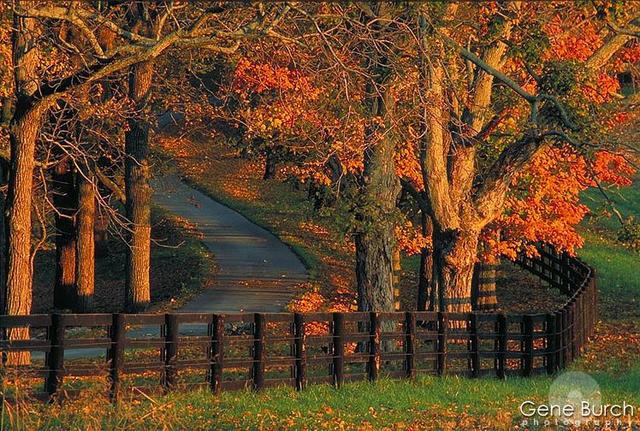 Country Fall Scenes Pic2fly Html