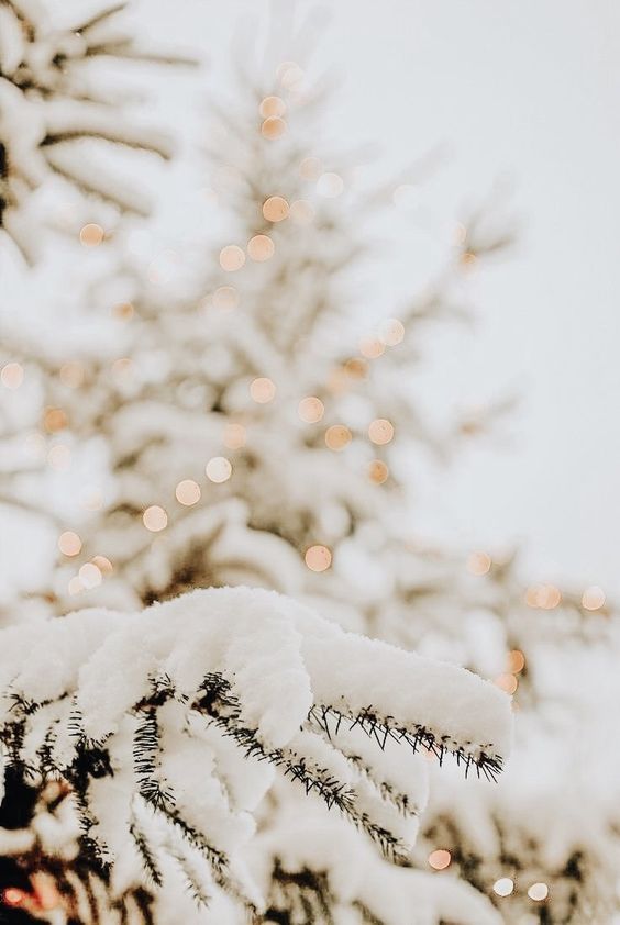 Gorgeous Winter Wallpaper S For iPhone