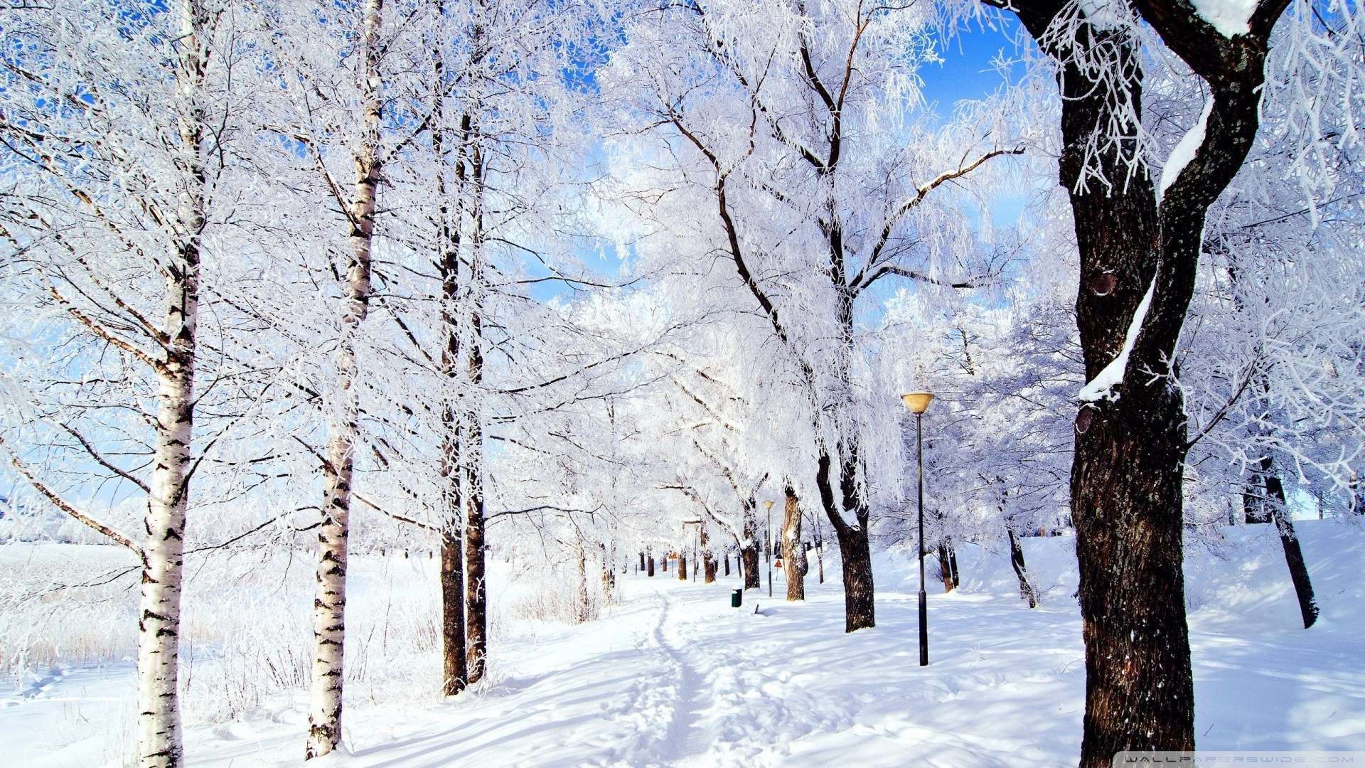 Wallpaper Winter Wonderland 1080p HD Upload At February