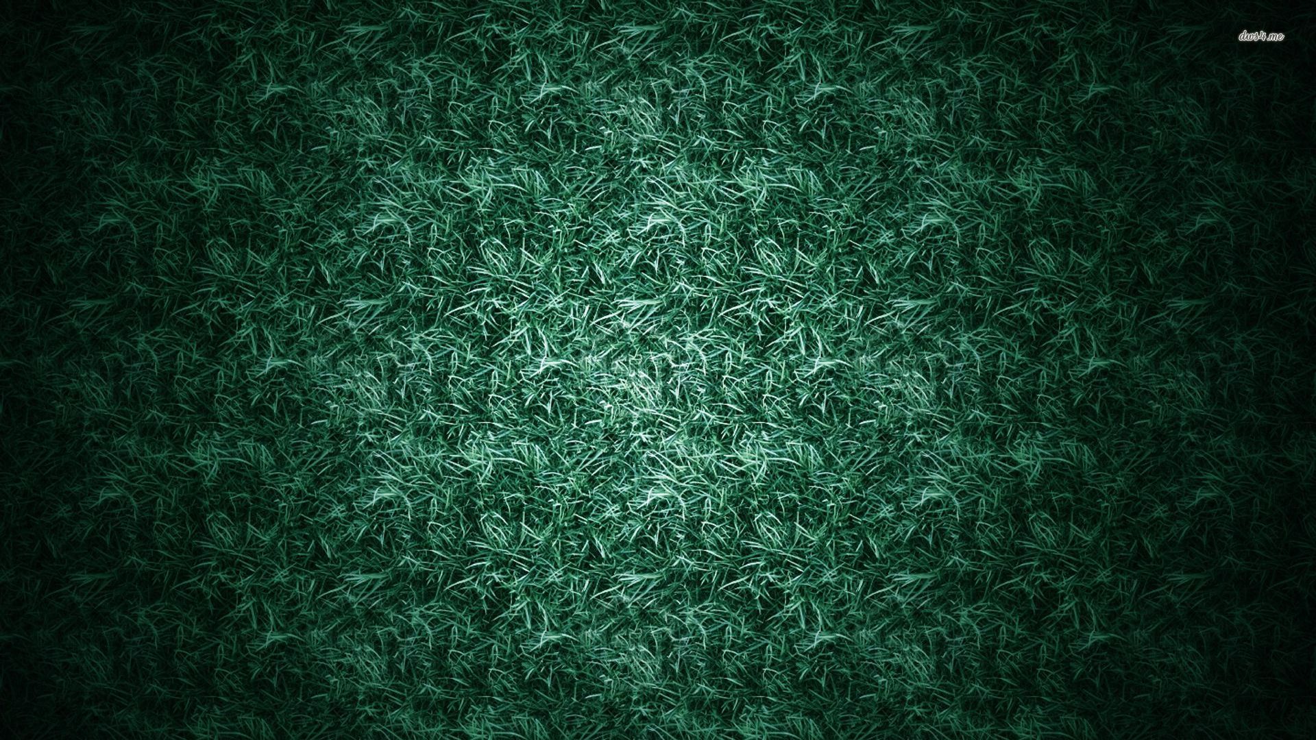 Grass Texture Wallpaper Abstract