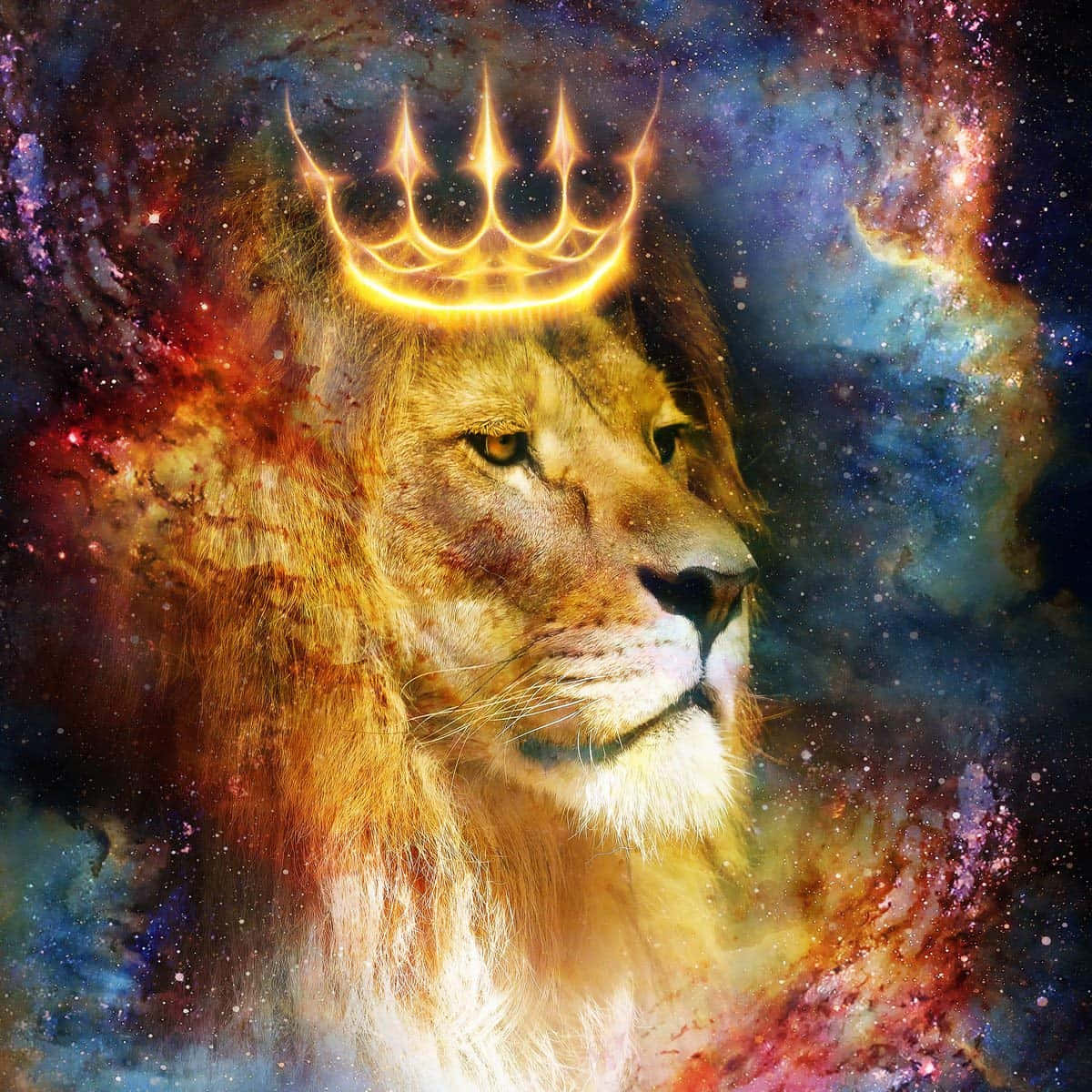 Galaxy Lion Background Wallpaper