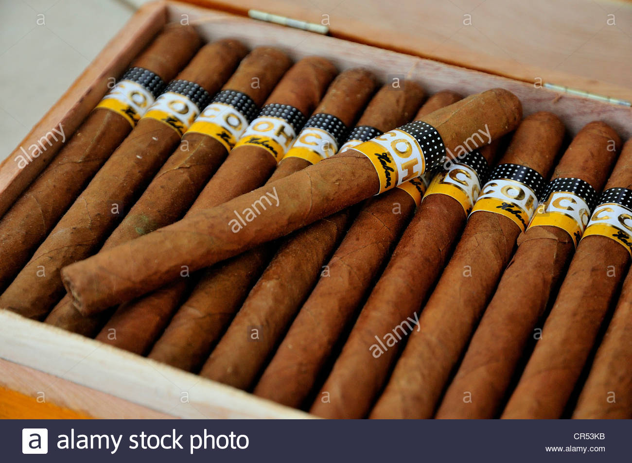 Cohiba Cigar Stock Photos Image