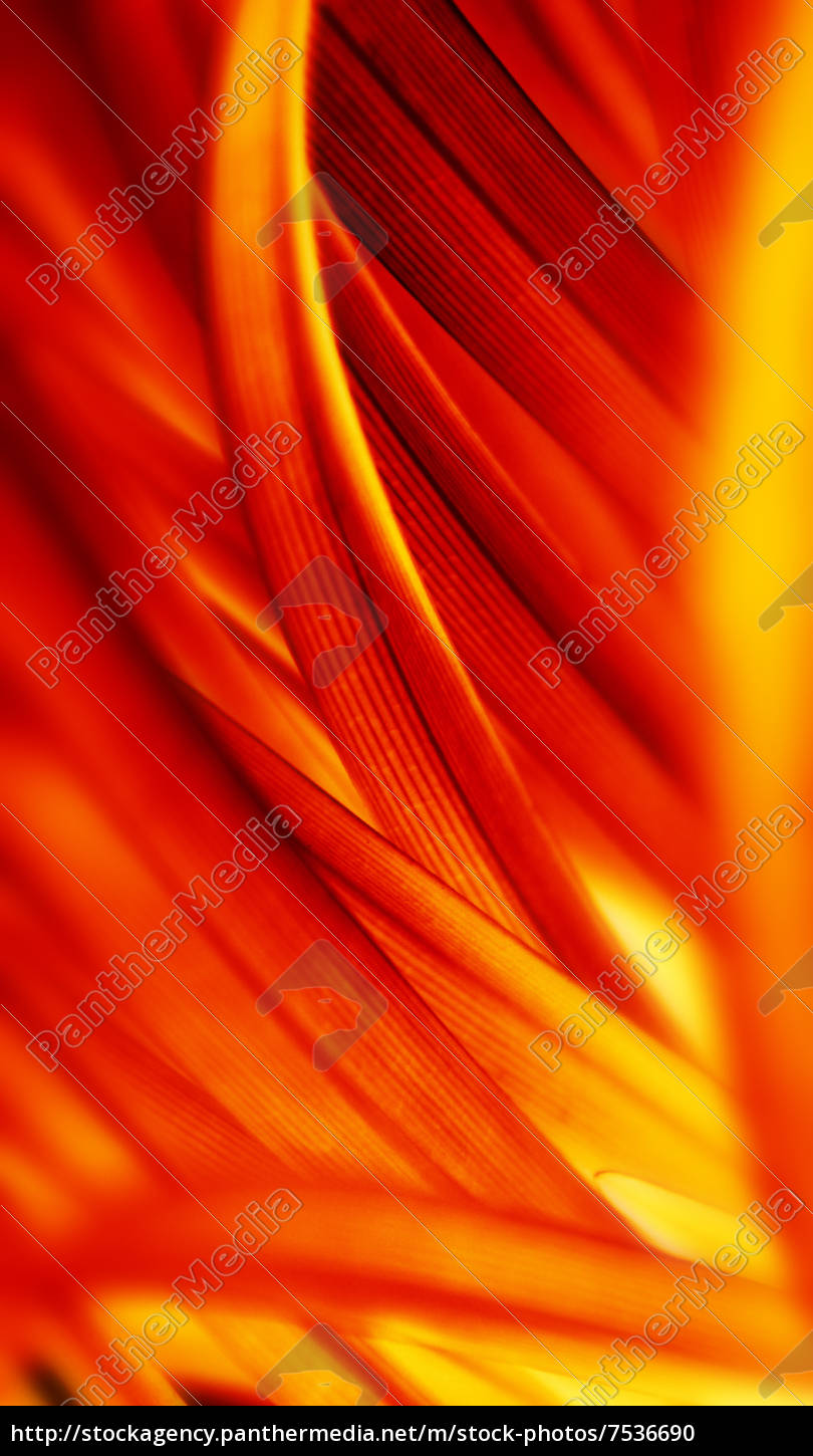 red flow background vertical   Royalty free image   7536690