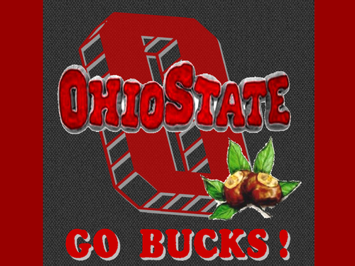Ohio State Go Bucks Wp Buckeyes Wallpaper
