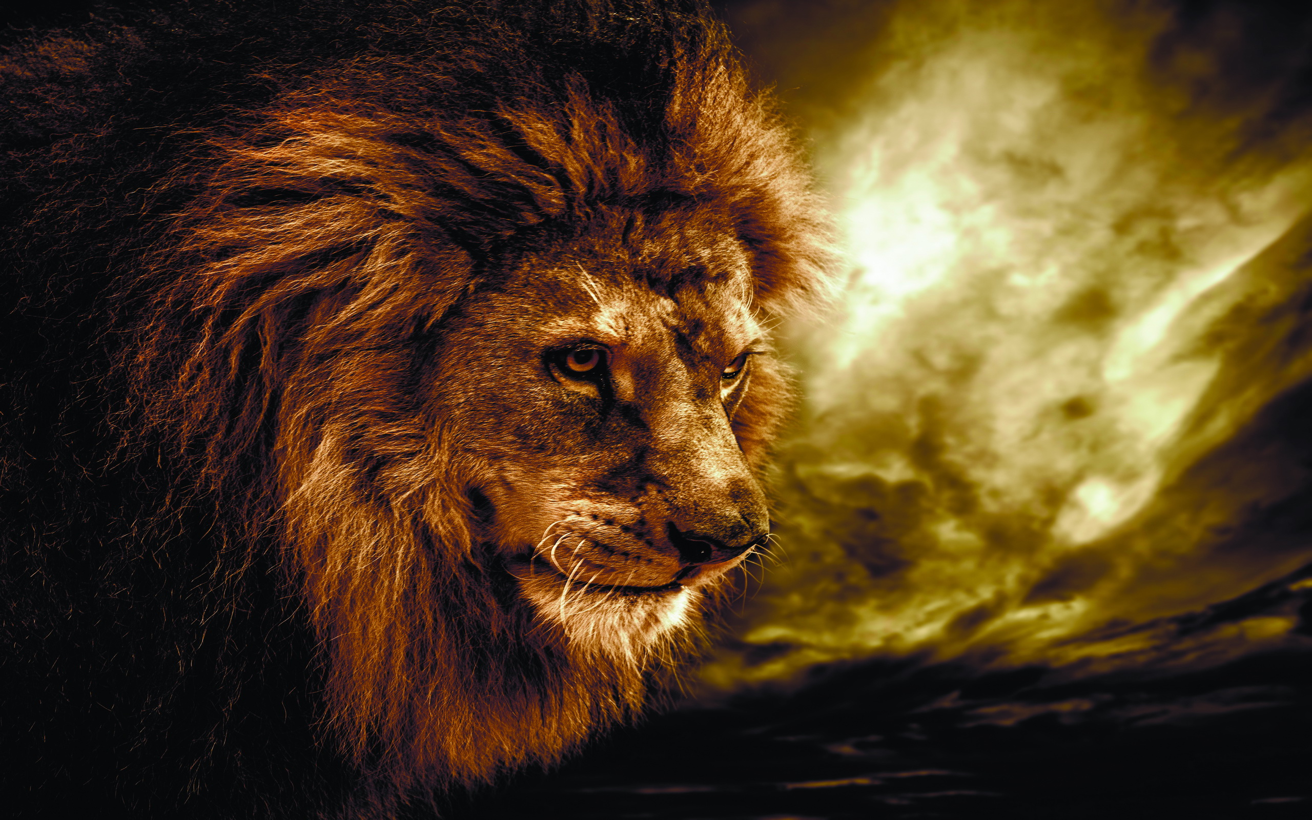 Majestic Lion Against a Stormy Sky