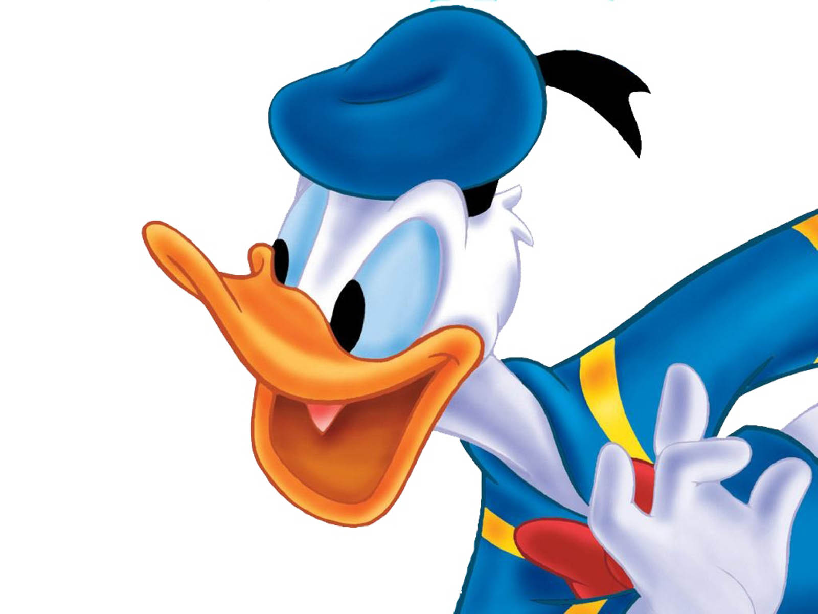 Donald Duck in blue  Cartoon wallpaper