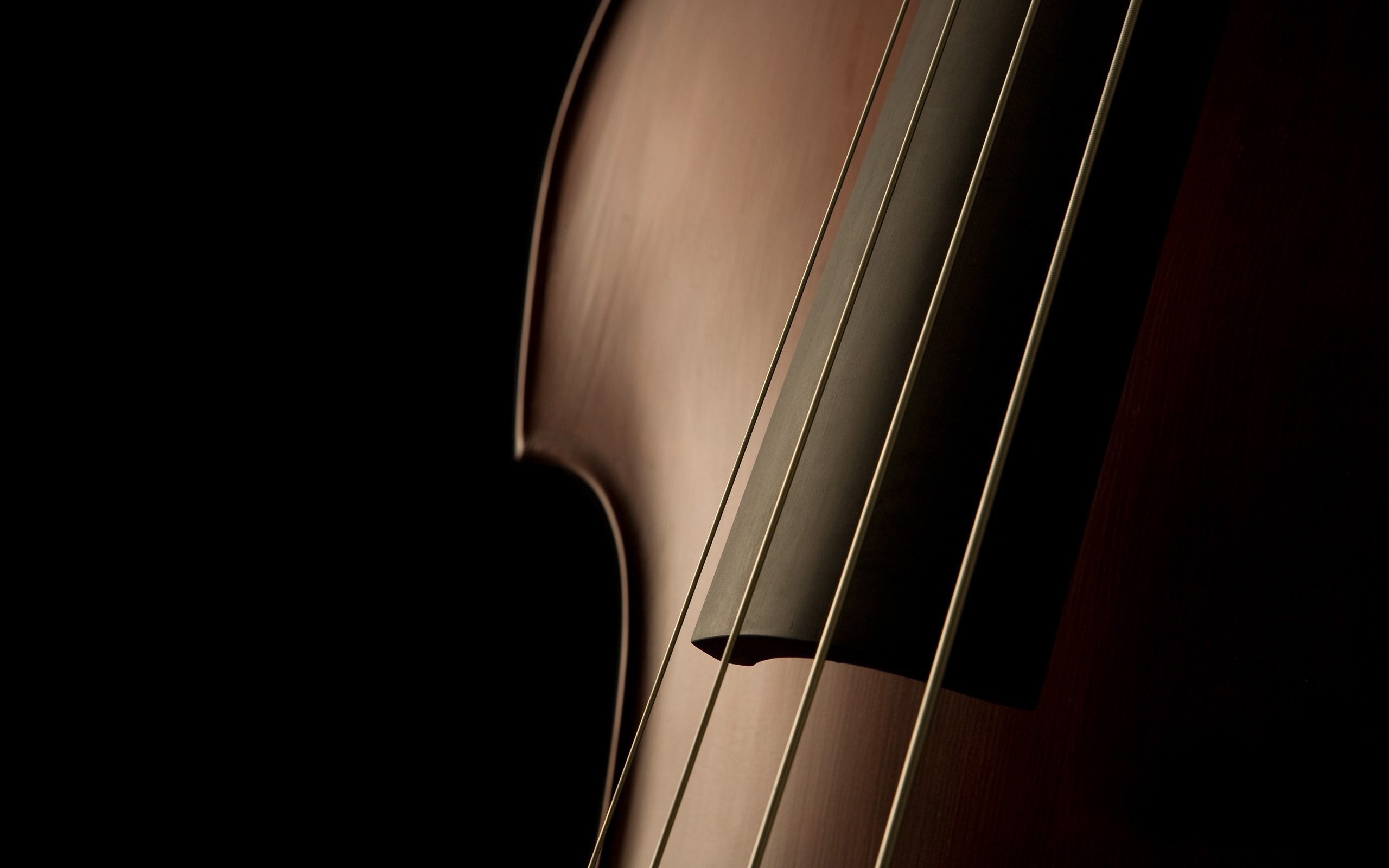 Wallpaper Violoncello Cello String Photo HD Desktop