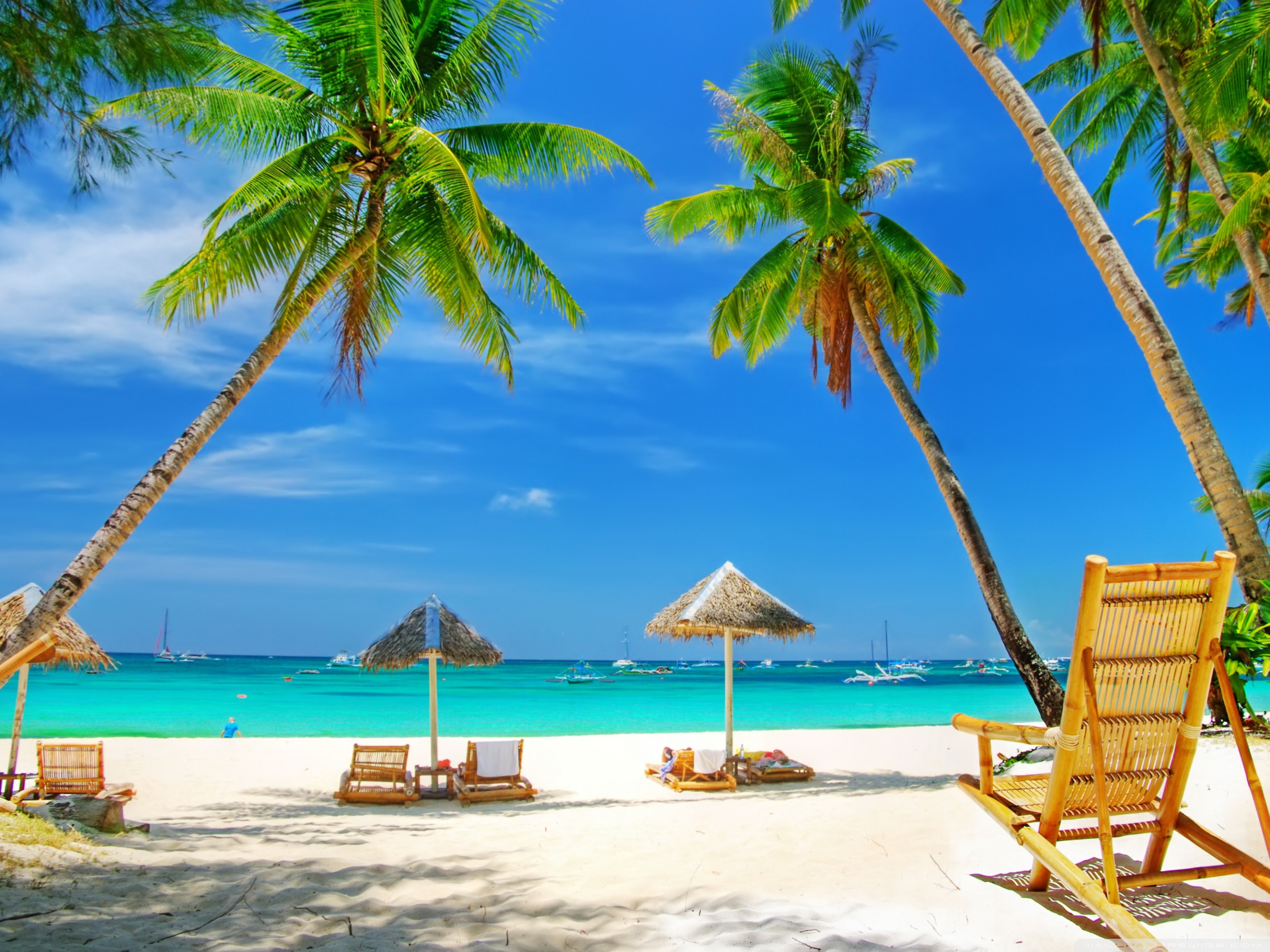Tropical Paradise Beach 4k HD Desktop Wallpaper For Ultra