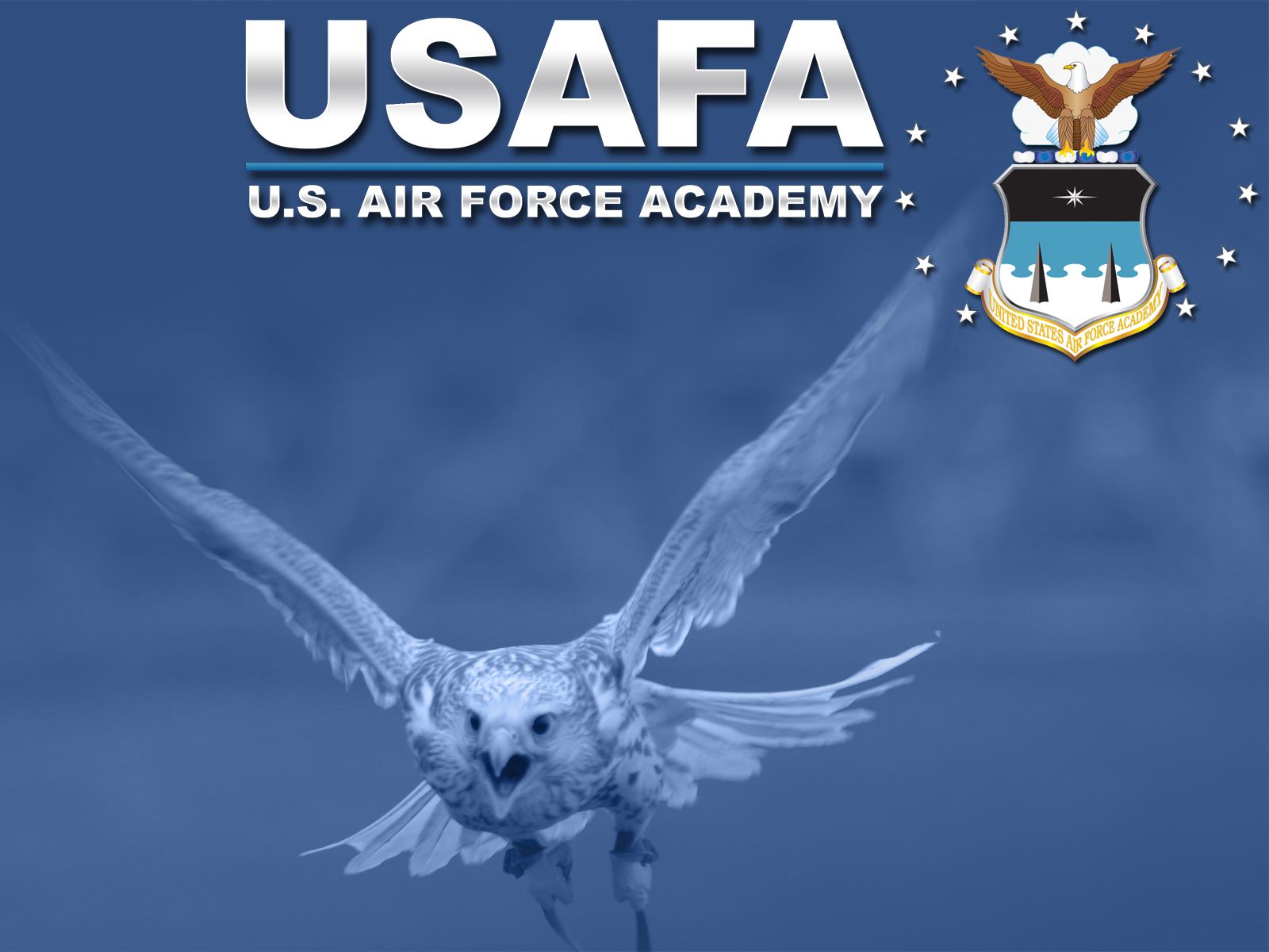 Air Force Academy Mascot Background