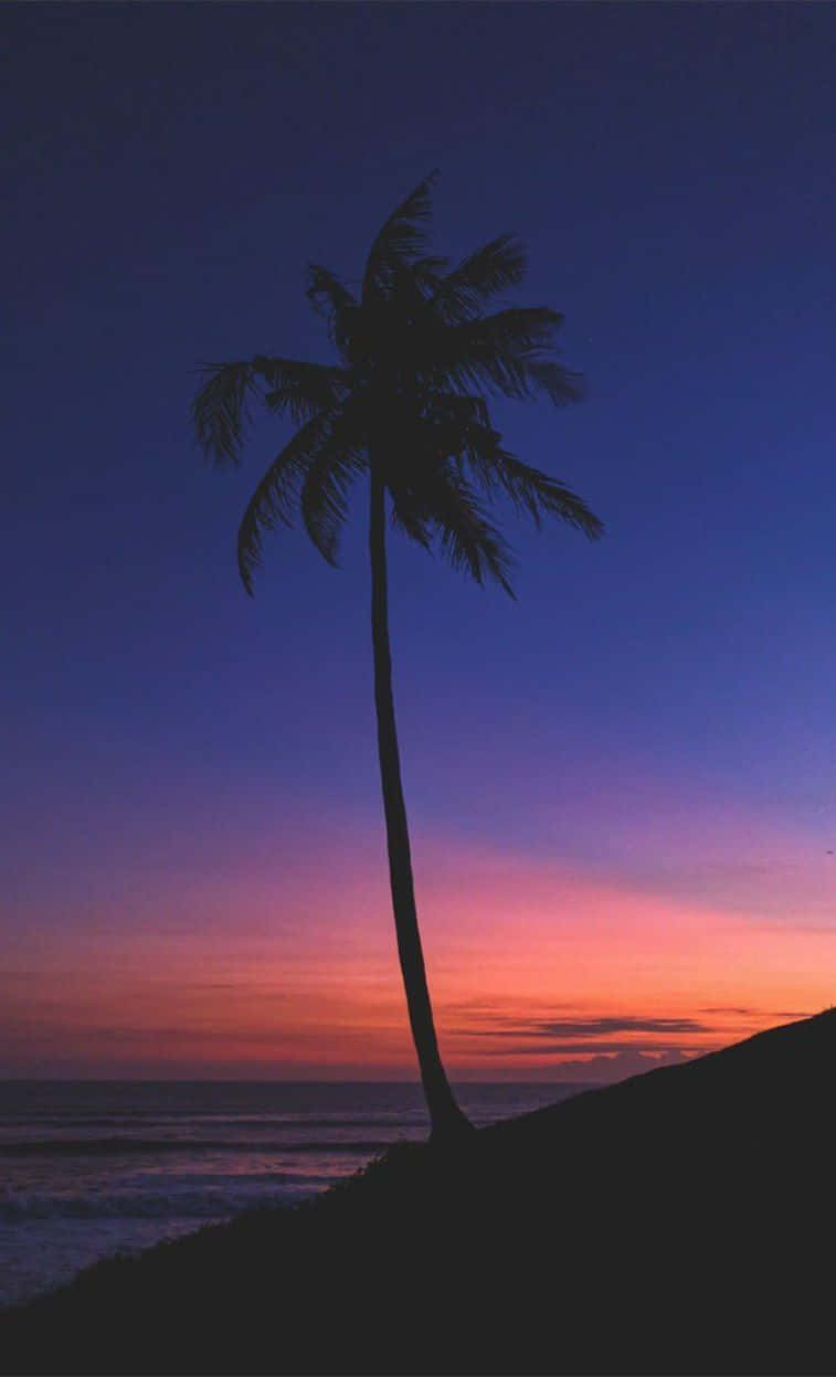 Indigo 63um4v6gkjnycquc Wallpaper