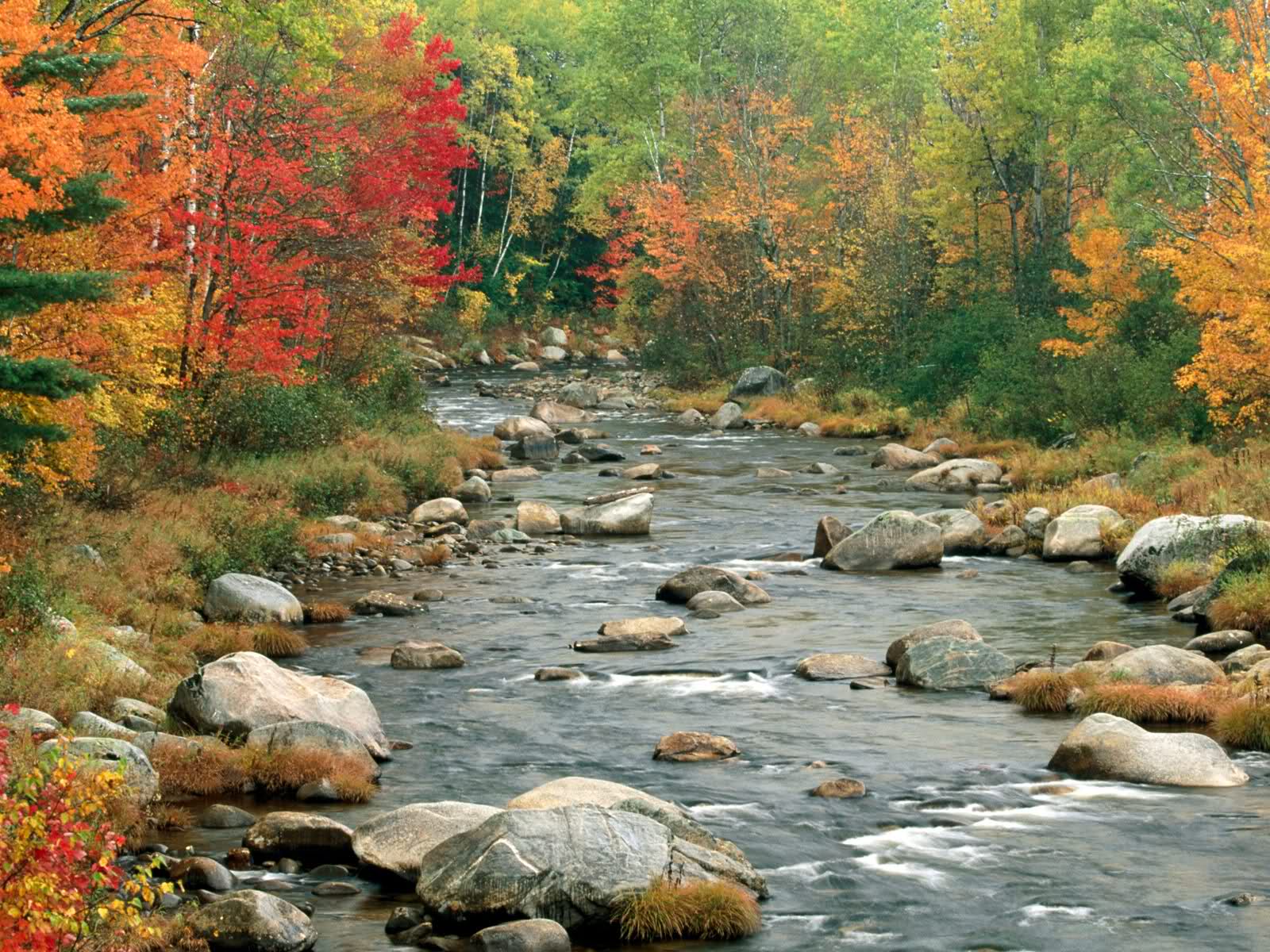 Beautiful river in the autumn wallpapers and images   wallpapers