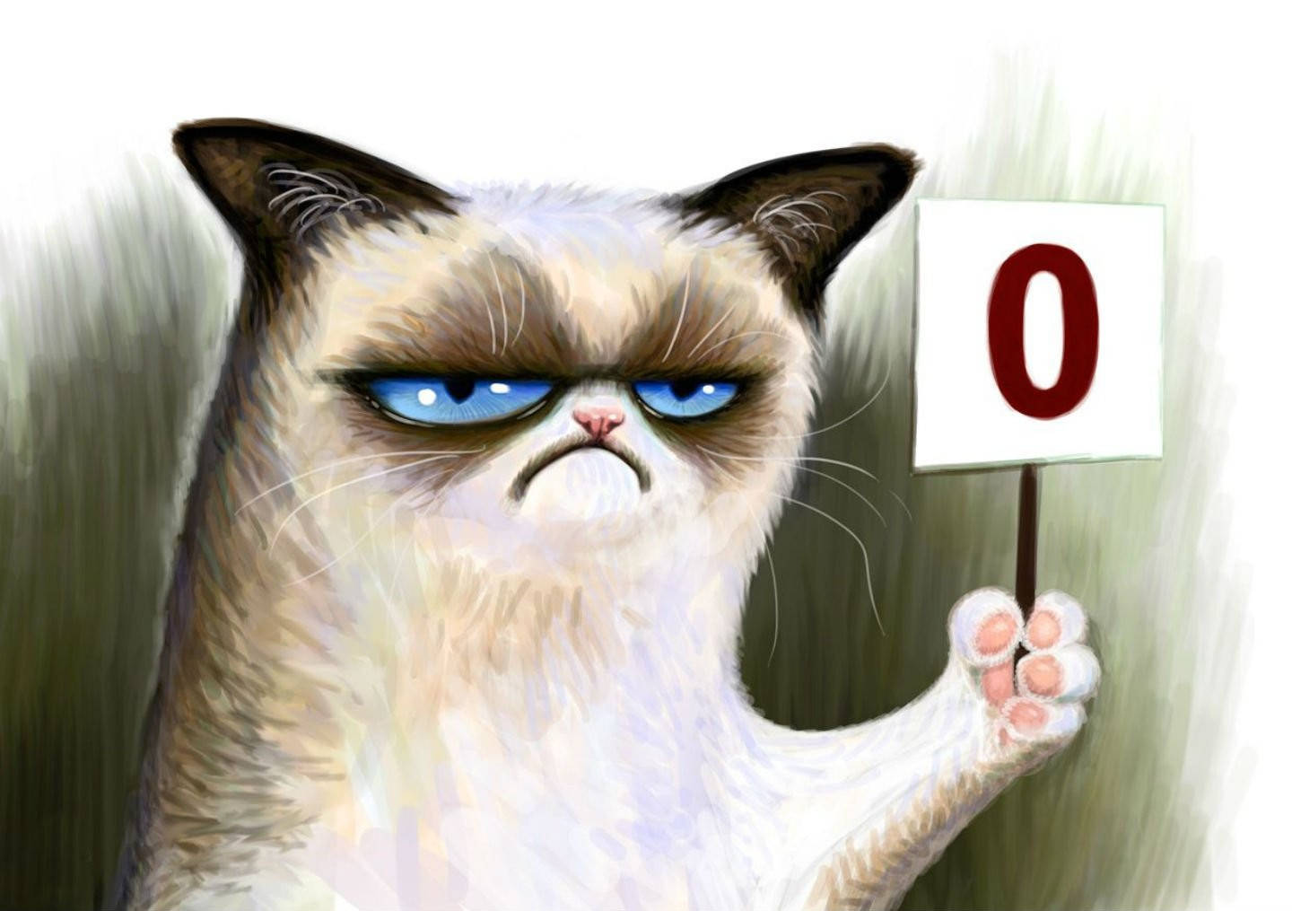 Cat Meme Wallpaper