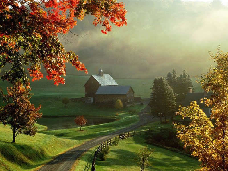 Autumn Fall Color Country Farm Wallpaper Brightly Colored Trees