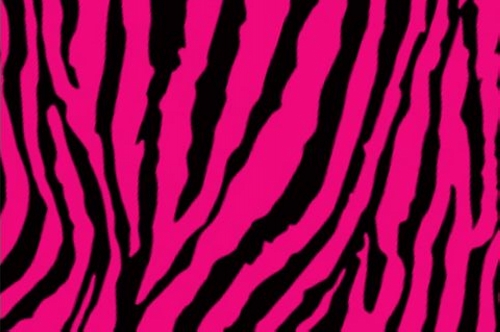 Hot Pink Zebra Print