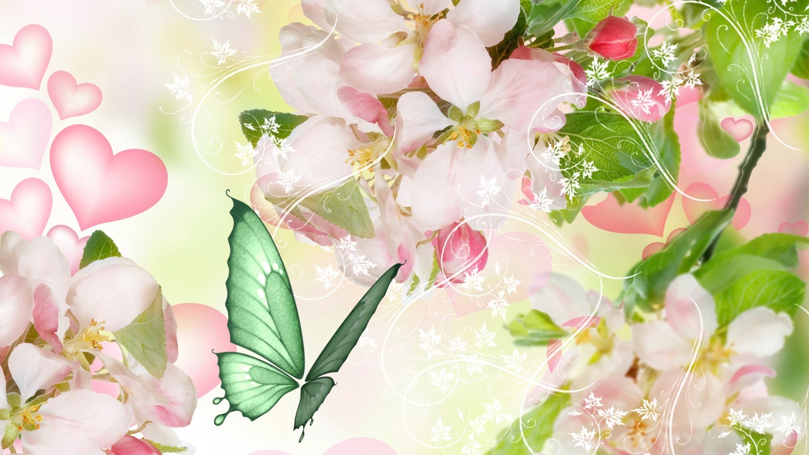 Apple Blossoms For Spring Wallpaper Allwallpaper In