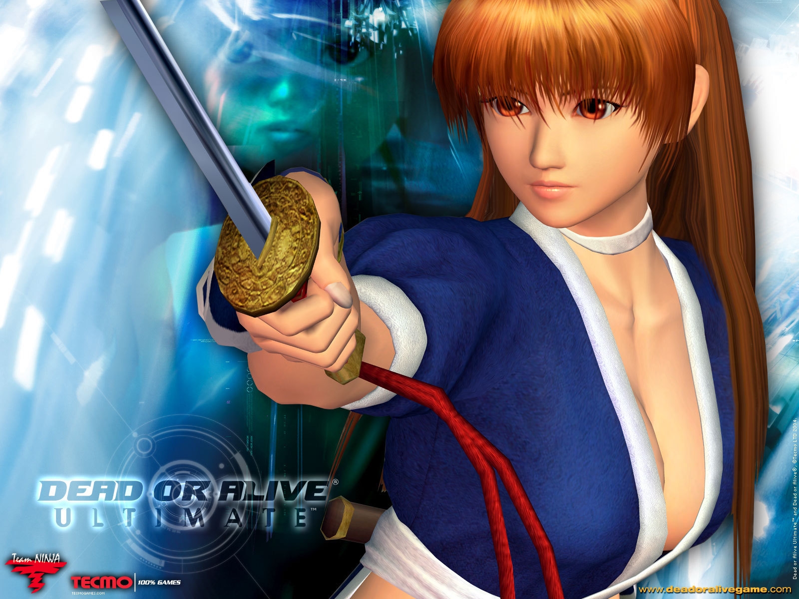 Beauty Re Rendered Kasumi Wallpaper Dead Or Alive