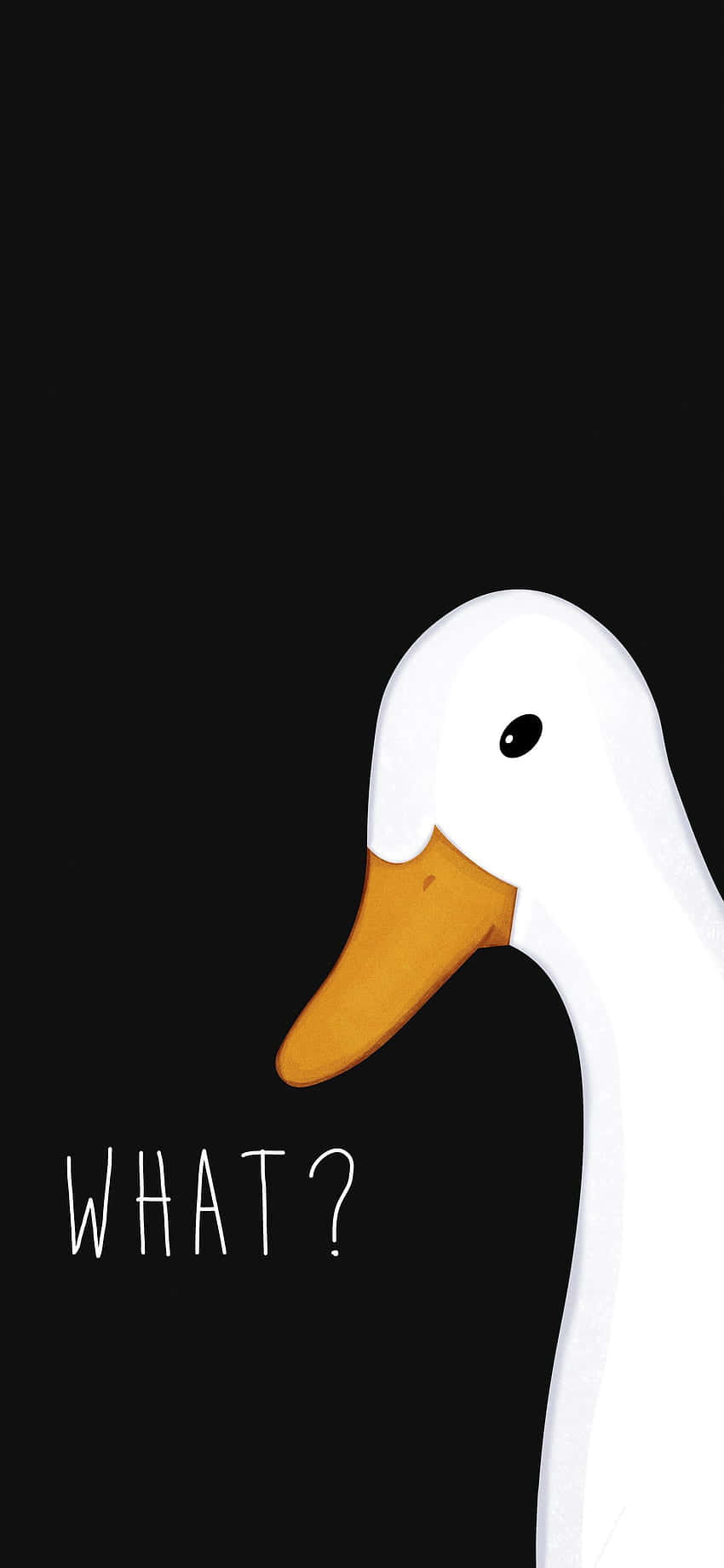 Funny Goose Saying What 9nat6mg22lva1w0k Wallpaper
