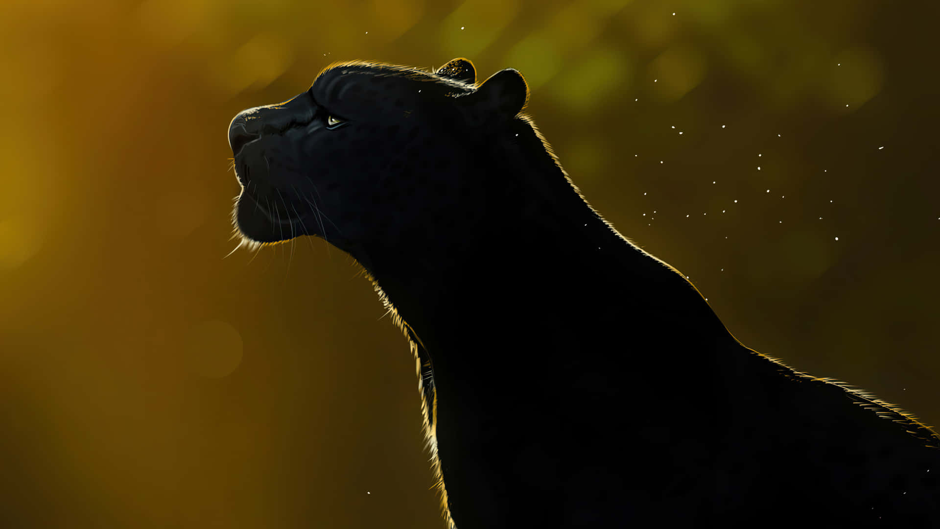 Black Jaguar Wallpaper