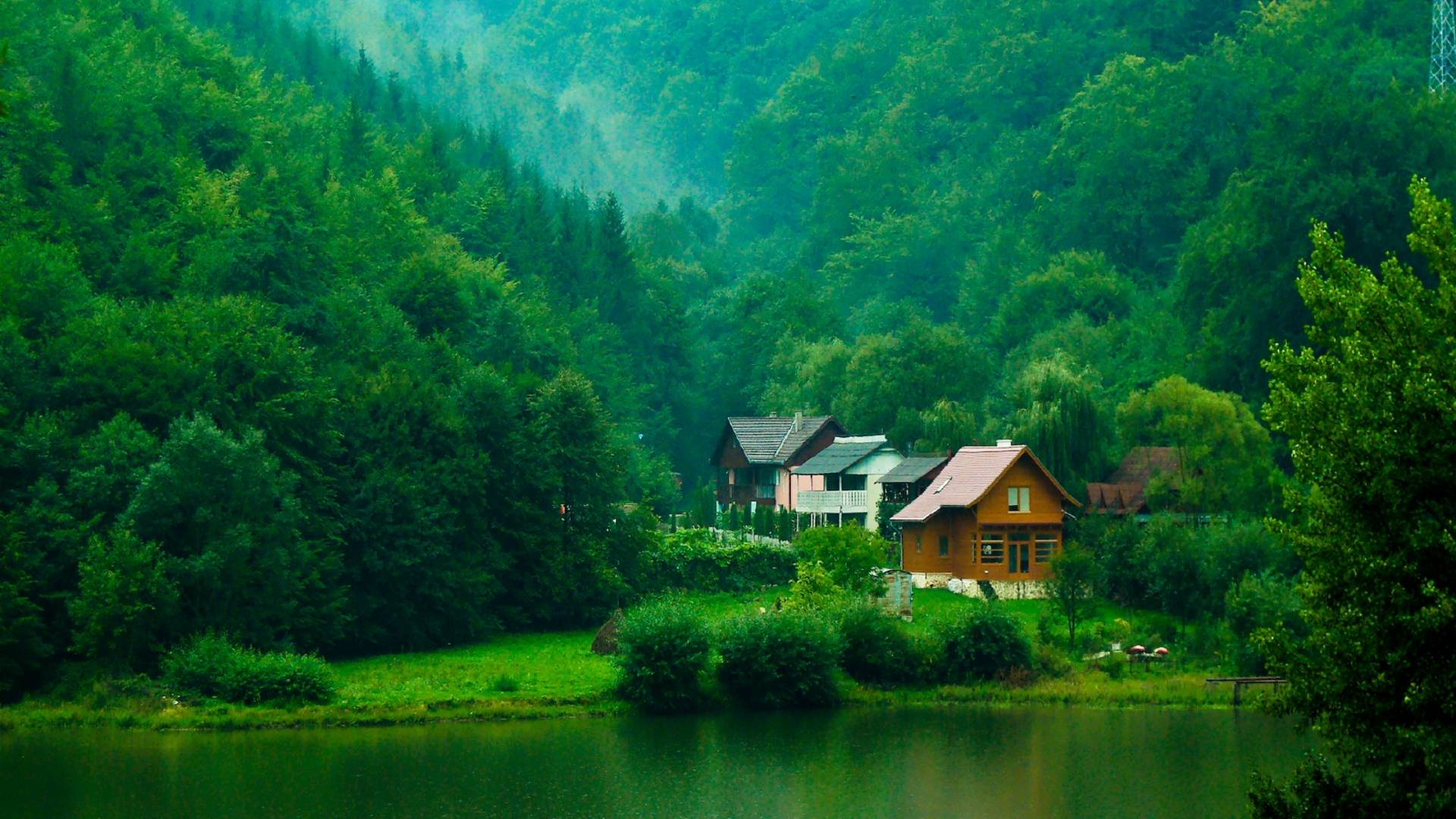 House In The Green Mountain A Forest