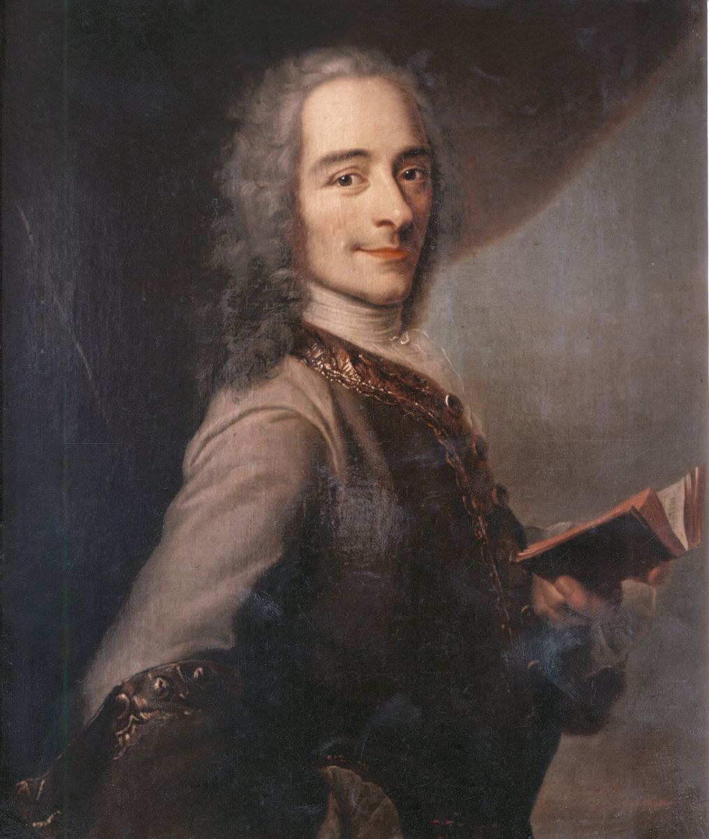 Things You Should Know About Voltaire History