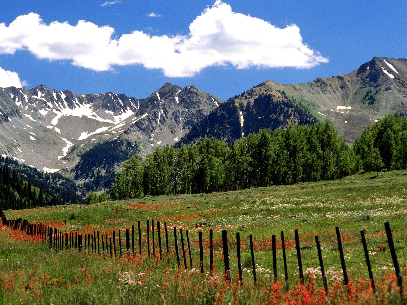 Download Mountain Valleys wallpaper meadows under mountain