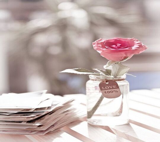 Love Rose Wallpaper