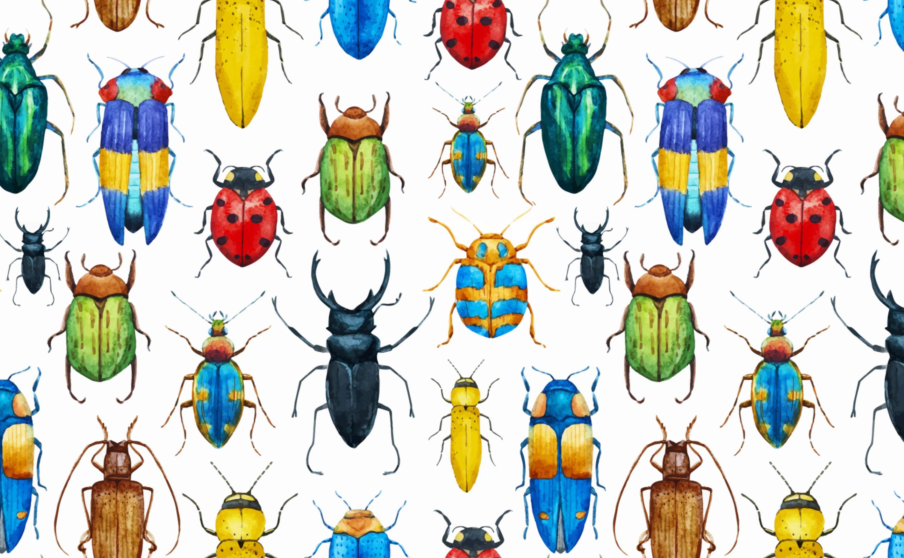Coloful Bugs Wallpaper For Walls Entomology