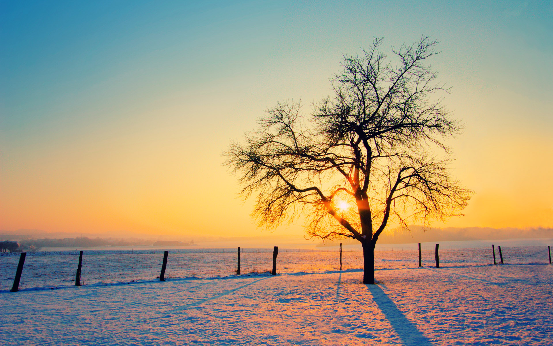 Awesome Winter Wallpaper Image Live HD Hq