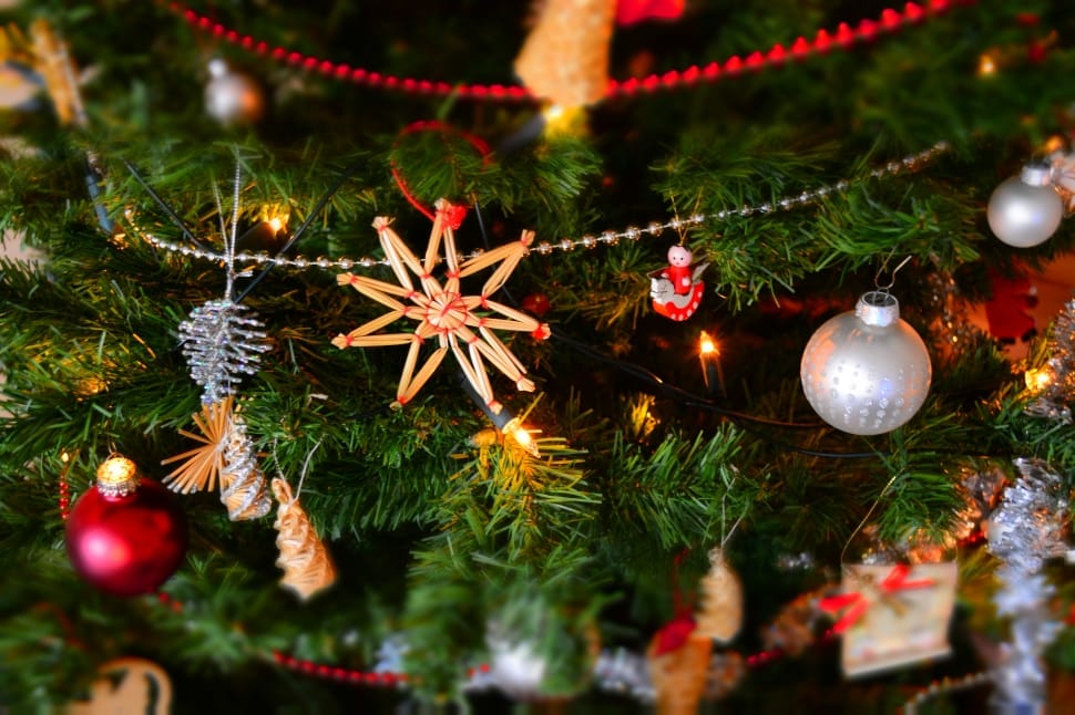 lighted christmas tree free image