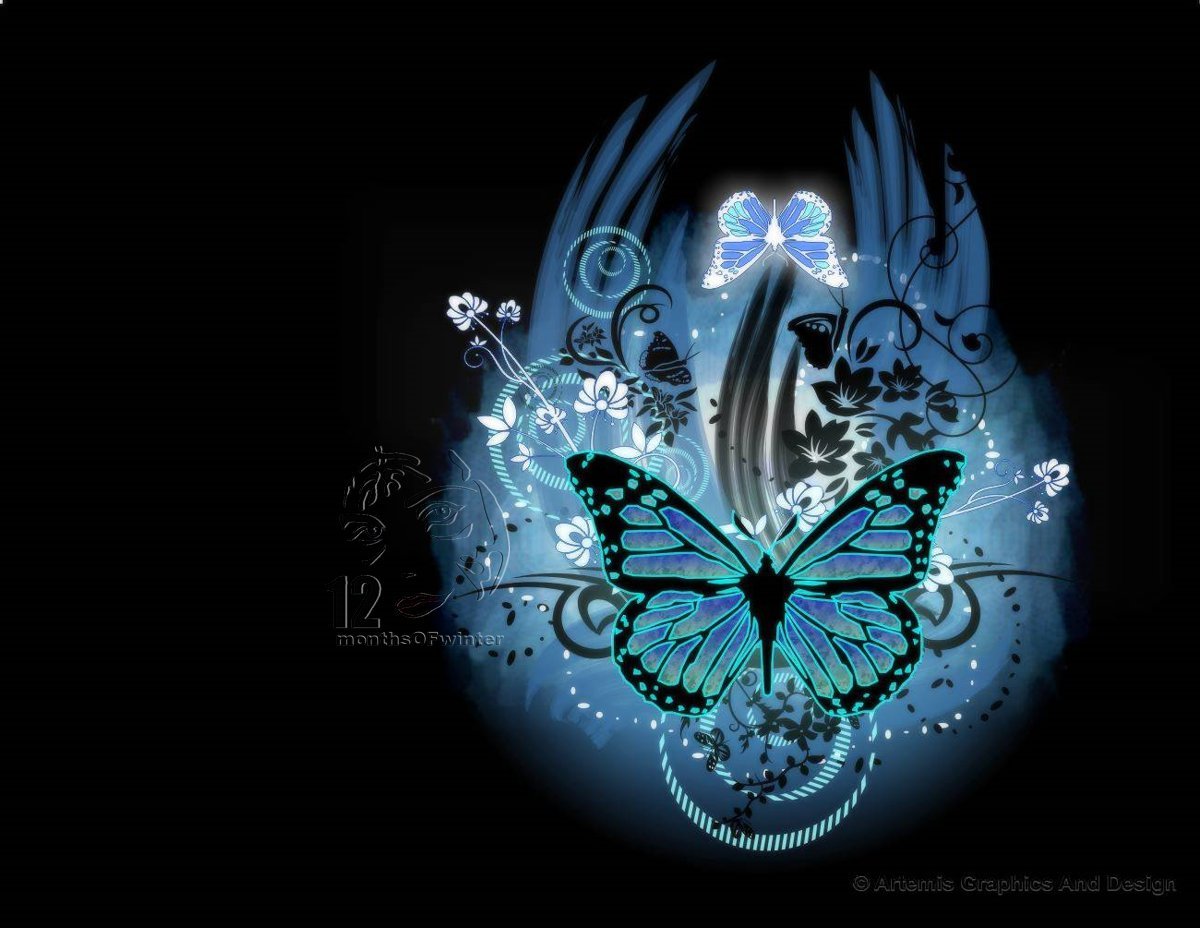 Most Beautiful Butterflies Wallpaper My image