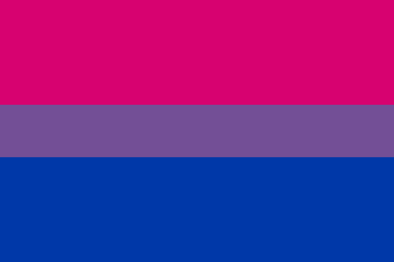 Transgender Symbol Flag Categories are less rigid