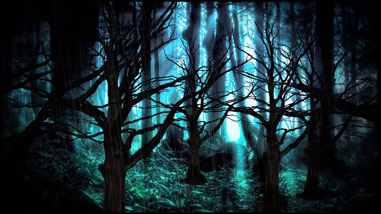 Background Dark Forest 1280x720