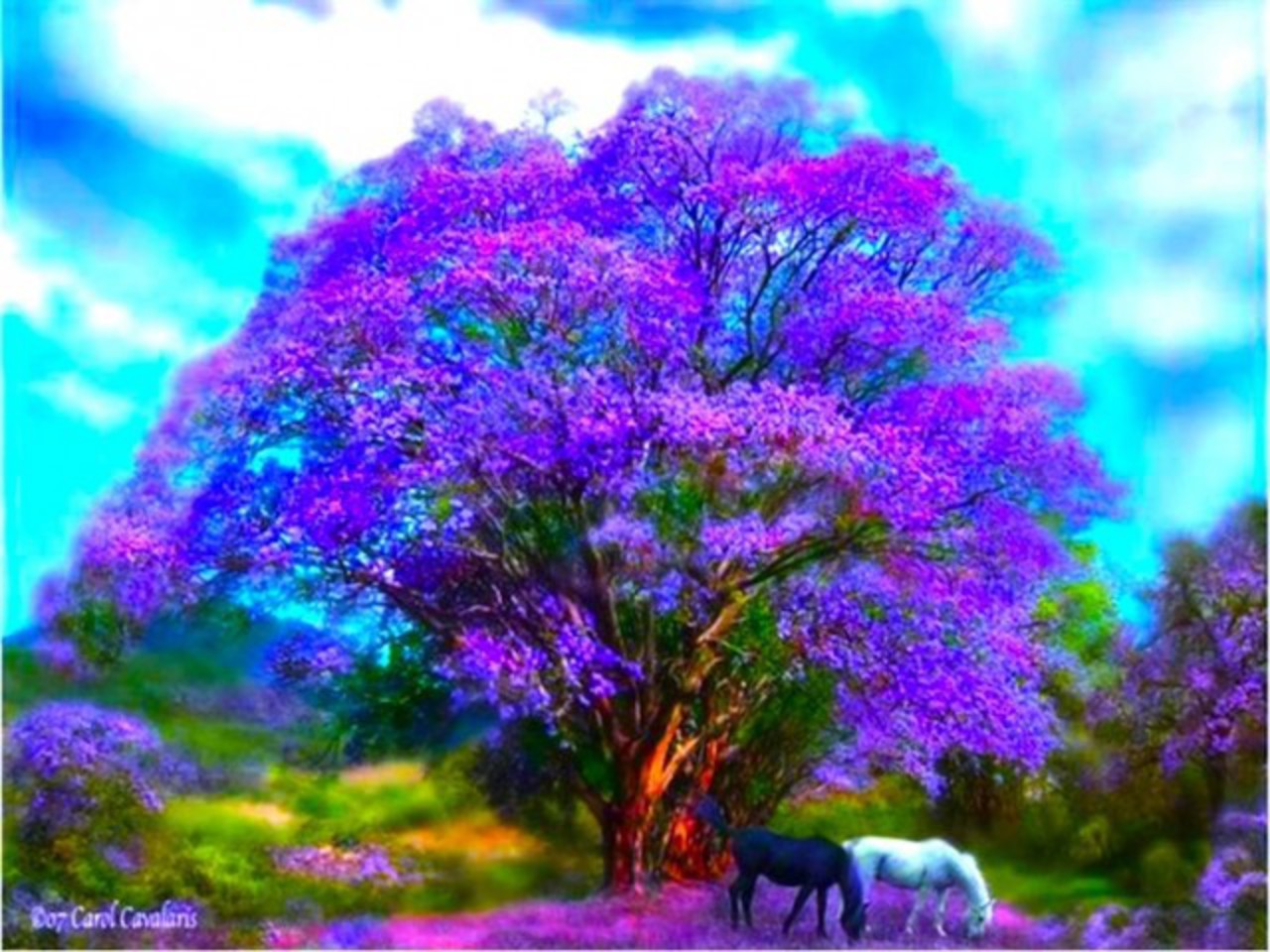 purple tree background