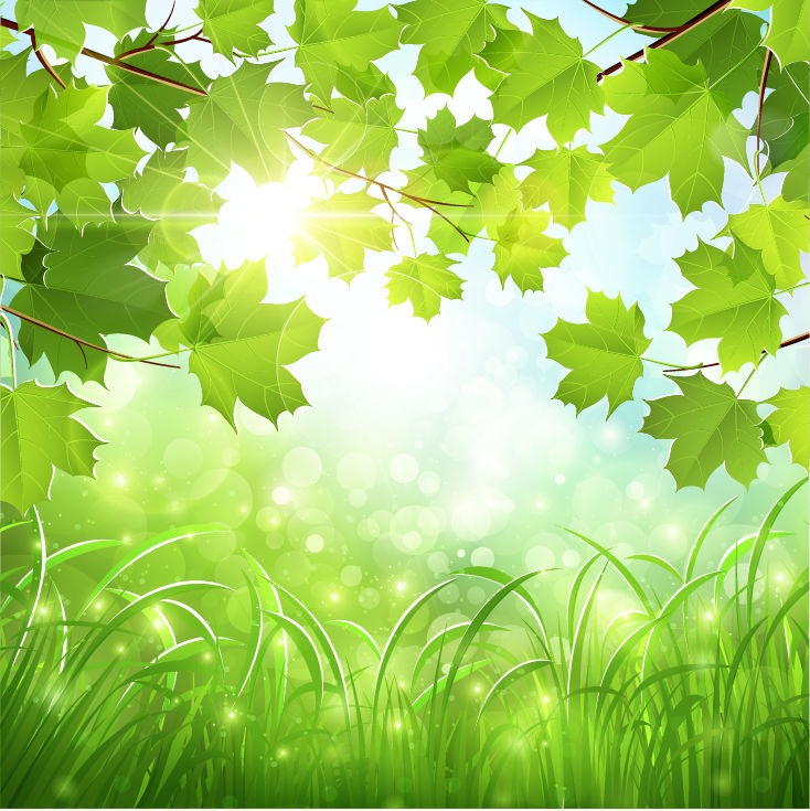 Green Natural Background Vector Illustration Graphics