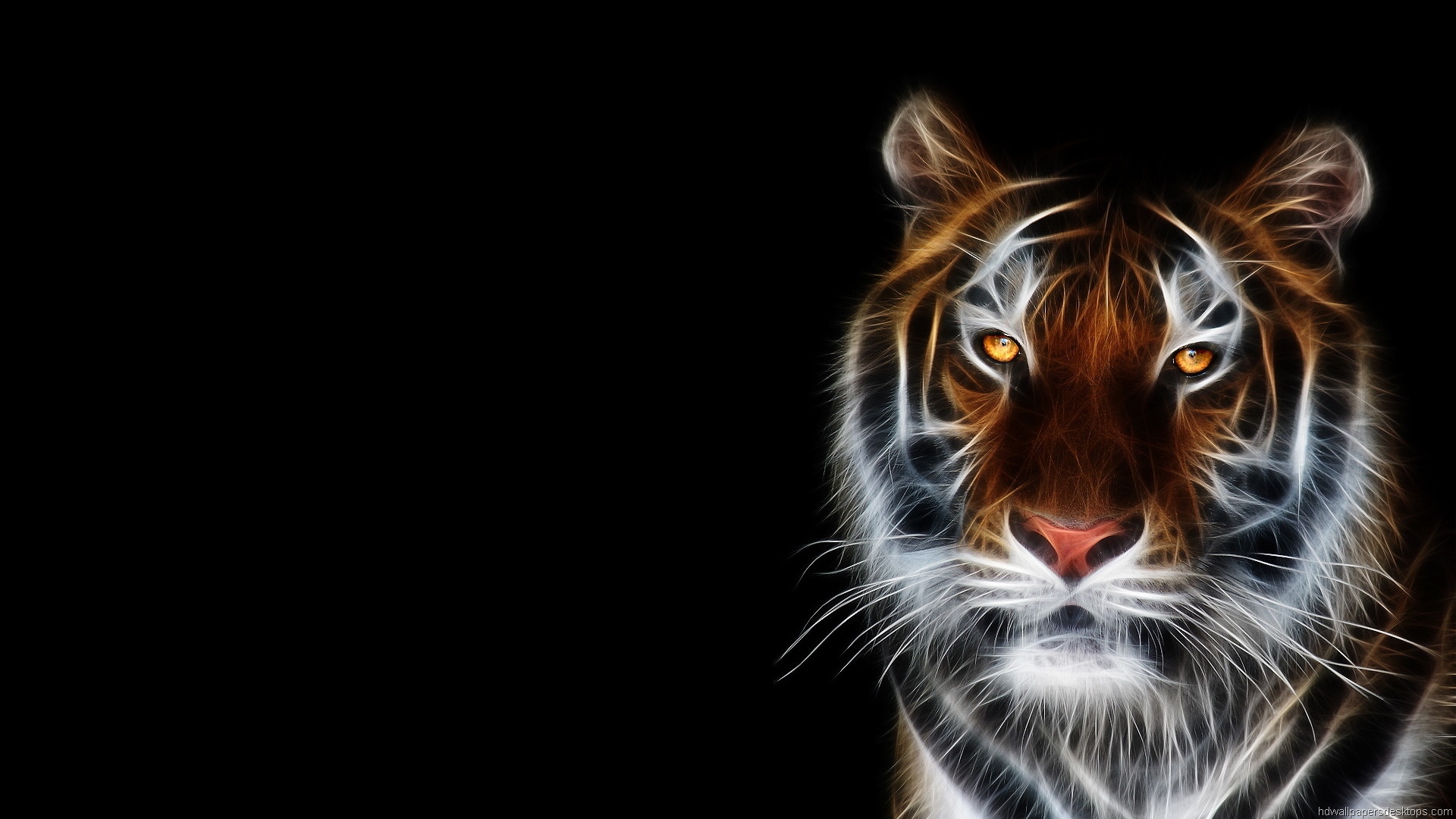 Animals Widescreen Desktop Backgrounds Photos Wallpapers