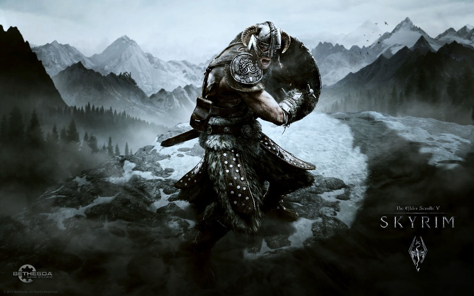 The Ninja Chronicles Of Ak Skyrim Dragonborn Wallpaper