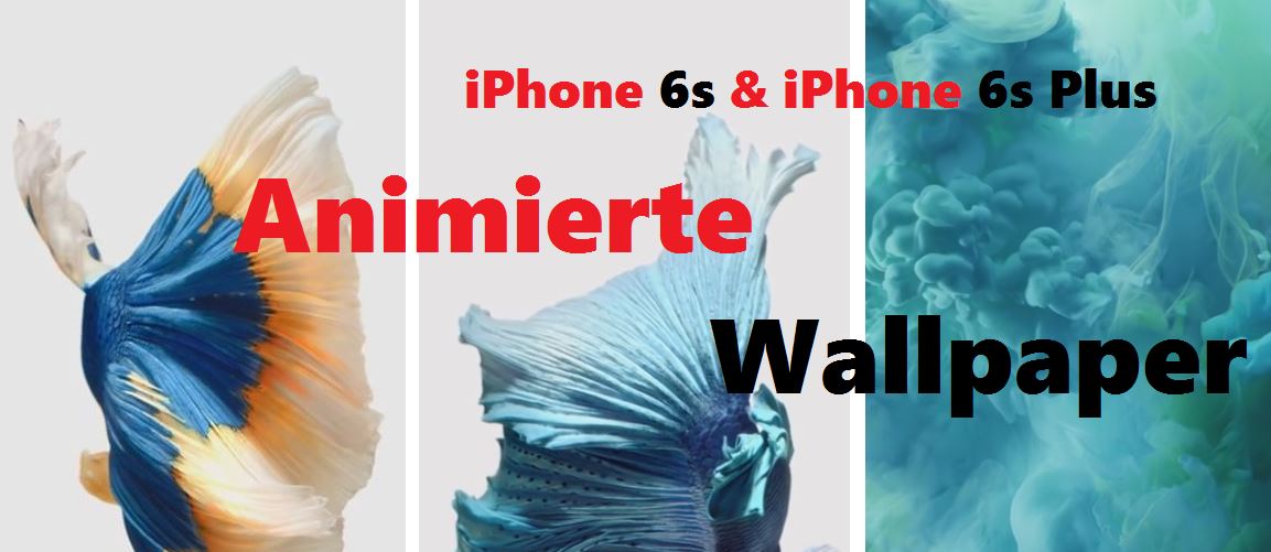 H Bsch Die Animierten Wallpaper Im iPhone 6s Plus