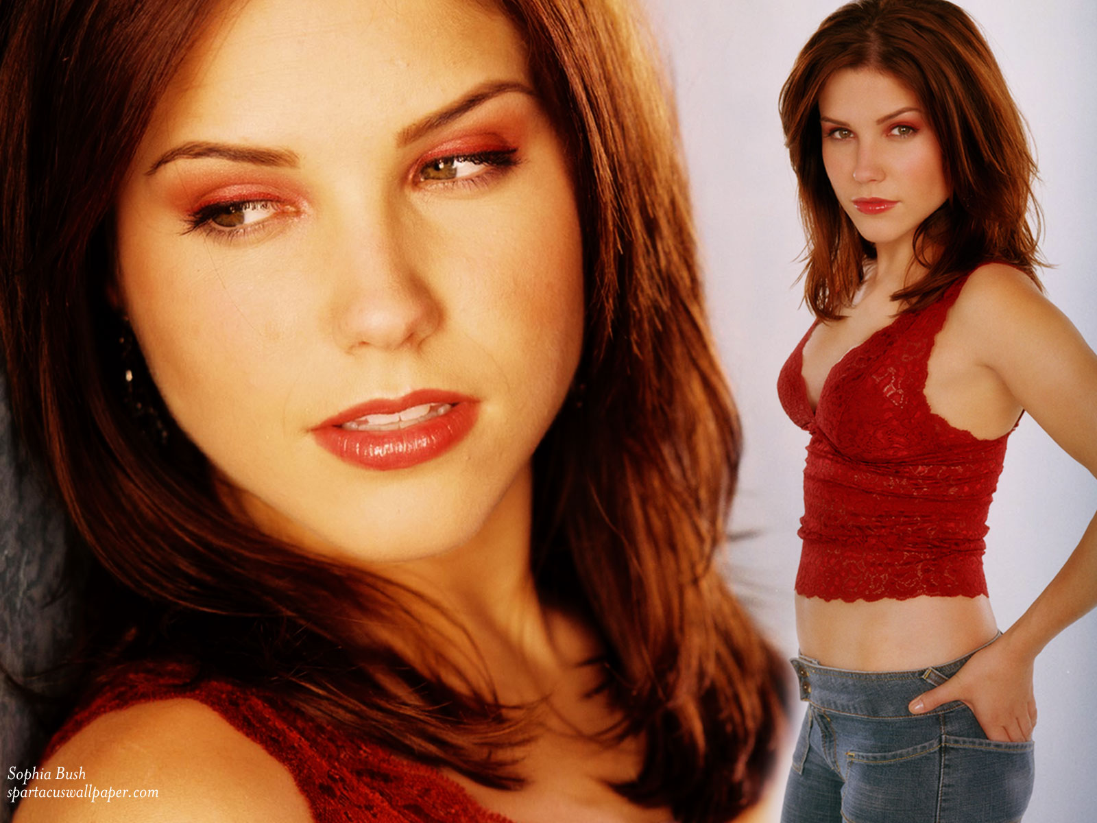 Sophia Bush Wallpaper