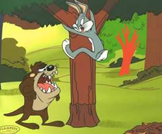 Walt Disney Tasmanian Devil Looney Tunes Cartoon Wallpaper
