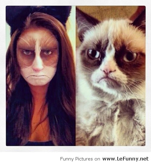 Grumpy cat makeup for Halloween