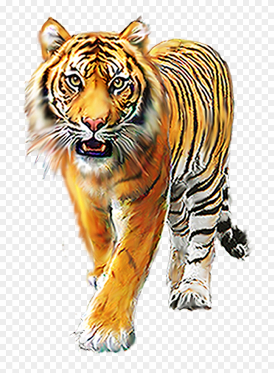 Cartoon Tiger Background Image For Editing Picsart Animals