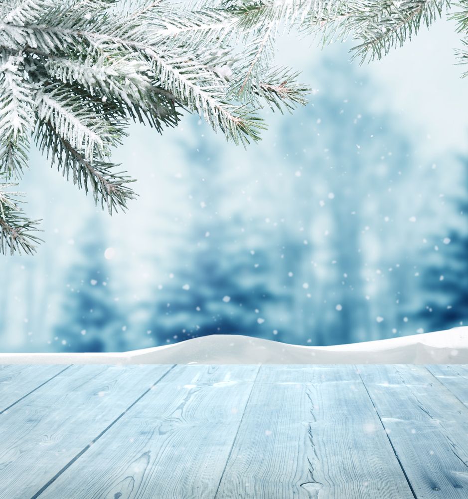 Snowy Photography To Set Your Christmas Spirit The Background