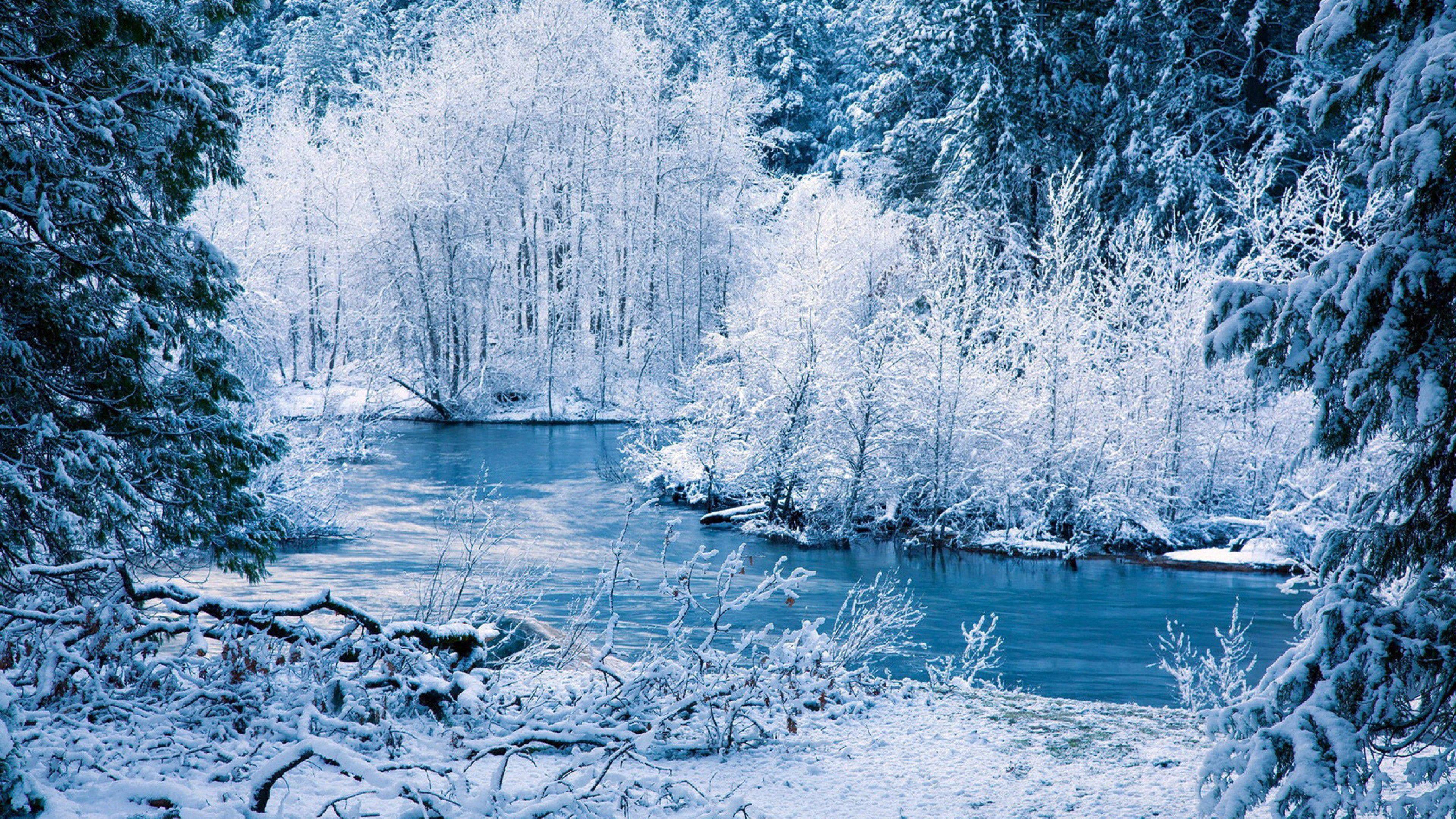 Nature S Beauty Is On Full Display During A Snowy Winter