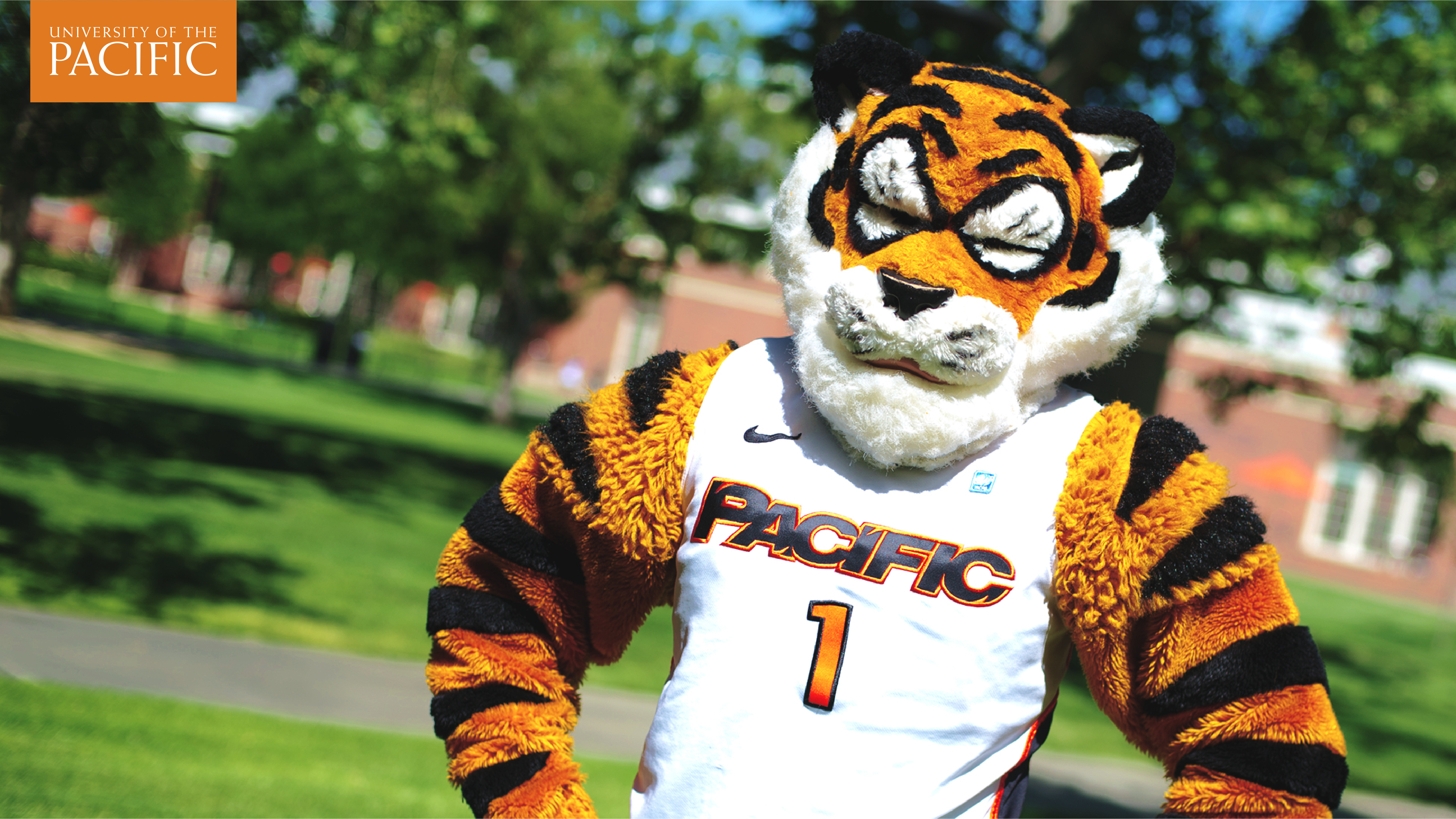 University Of The Pacific Virtual Background