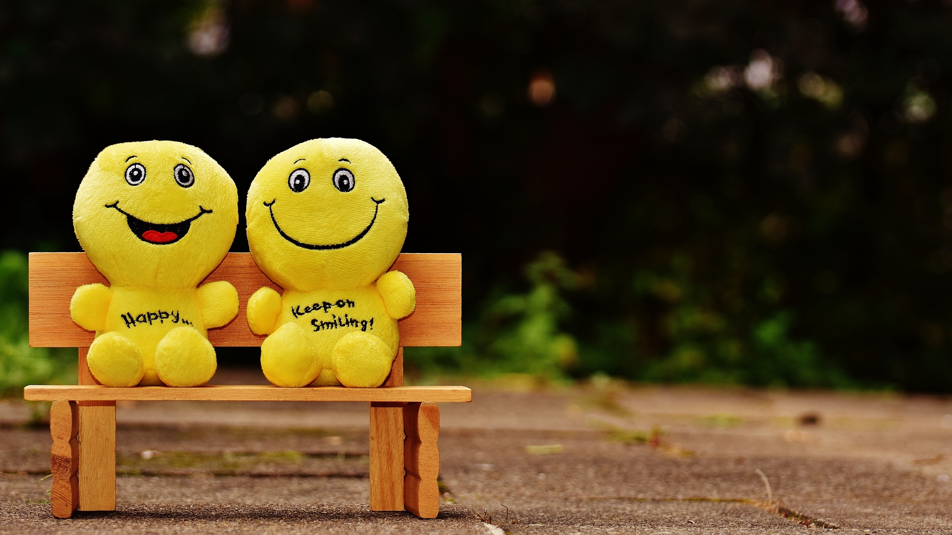 Wallpaper Smiles Happy Cheerful Smile Bench